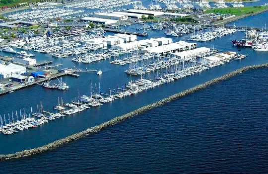 Bellingham yacht club view from top