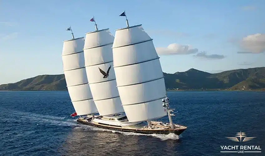 Who Owns the Maltese Falcon Yacht